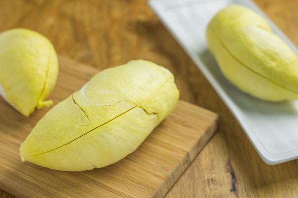 montong jual bibit durian unggul bogor