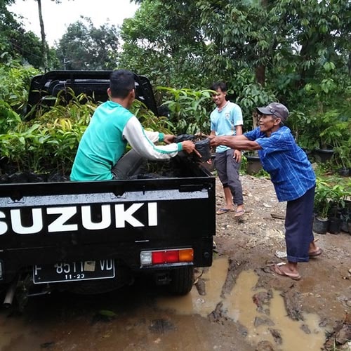 Galeri Agri nursery (33) pusat bibit durian bogor
