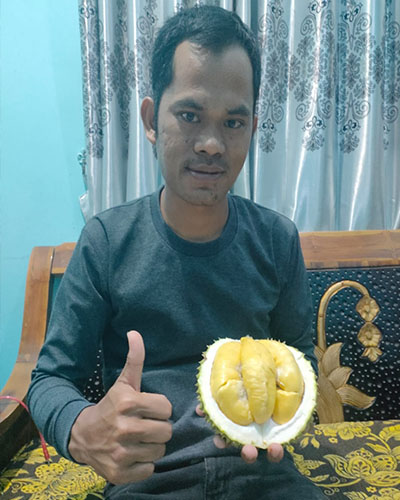 jual bibit durian musang king bogor (3) jual bibit durian musang king bogor