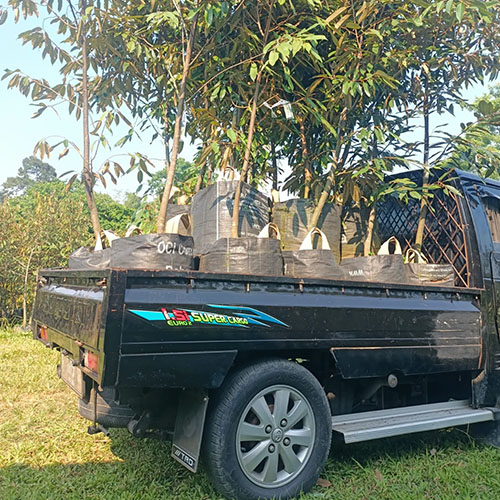 galeri agrinursery_3 galeri agrinursery_3